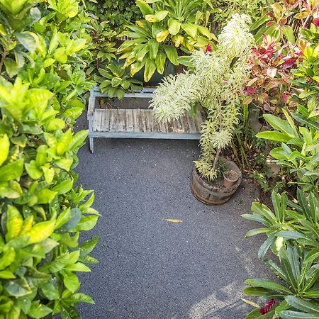 Nalu Kai Lodge Paia Hotel Екстер'єр фото
