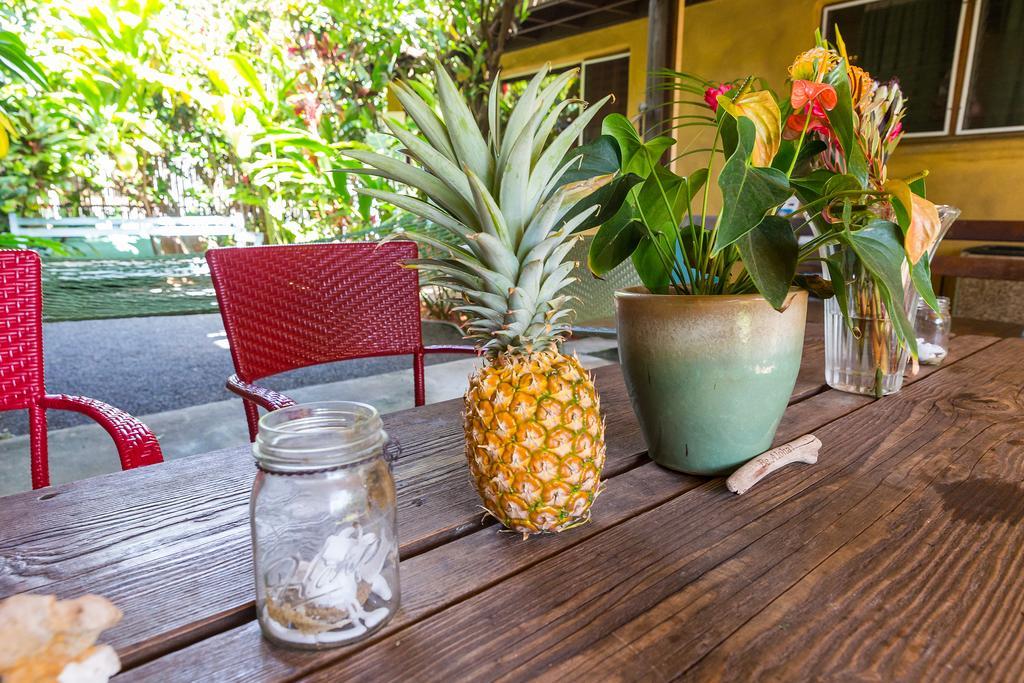 Nalu Kai Lodge Paia Hotel Екстер'єр фото