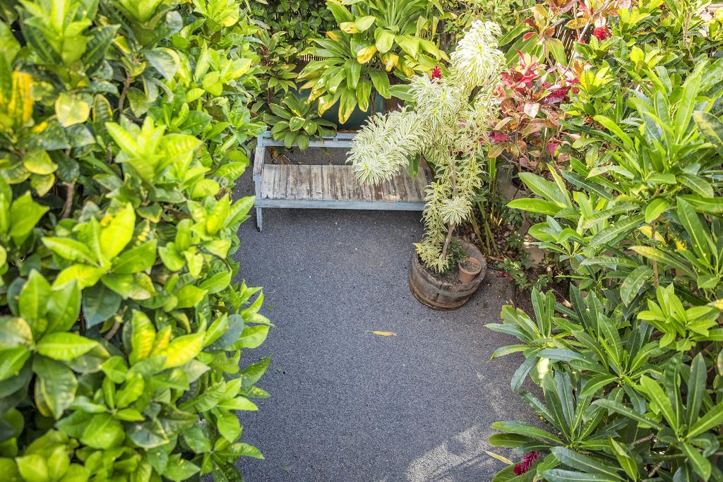 Nalu Kai Lodge Paia Hotel Екстер'єр фото