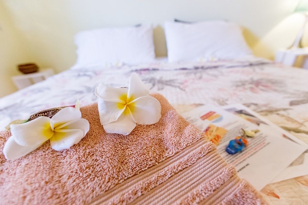 Nalu Kai Lodge Paia Hotel Екстер'єр фото