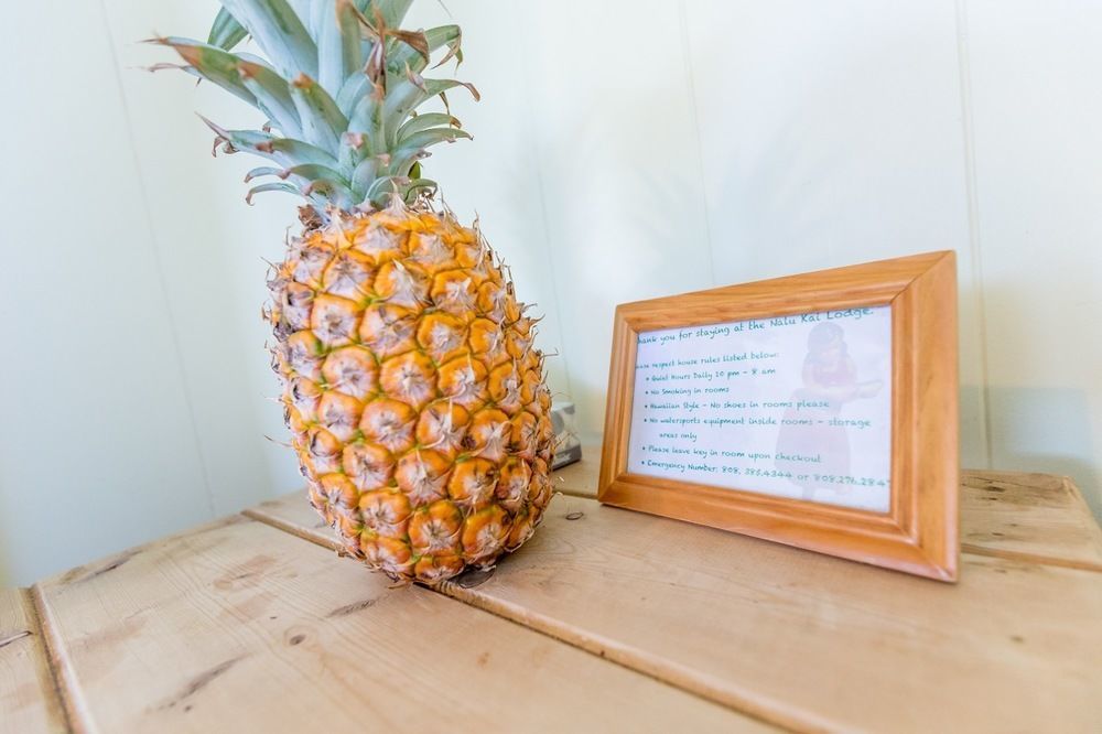 Nalu Kai Lodge Paia Hotel Екстер'єр фото